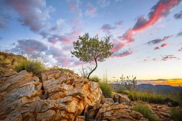 DSC01025 20160907 3 2 PRINT