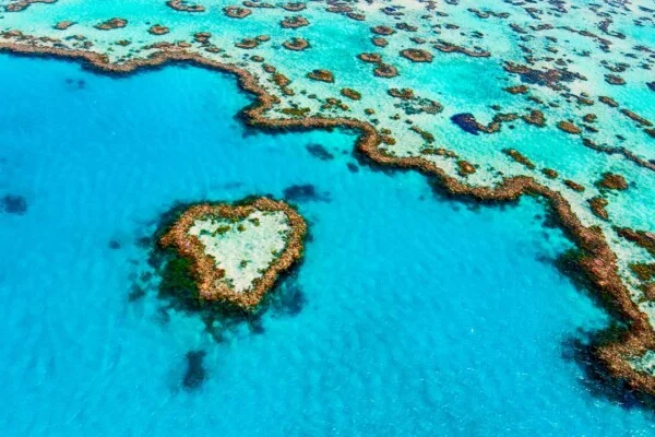 DSC01764 20150910 Heart Reef 2 adobeRGB Copy2