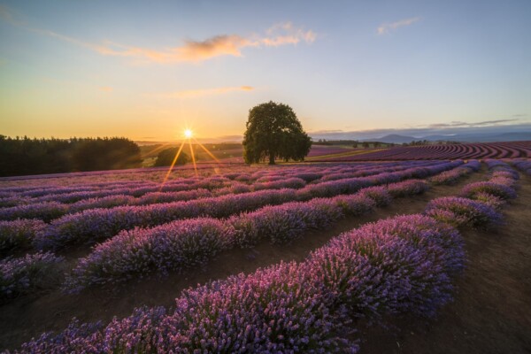 7R308270 20190104 16018 HDR 1