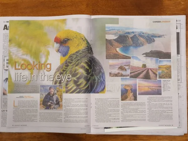 Hobart Mercury double page spread