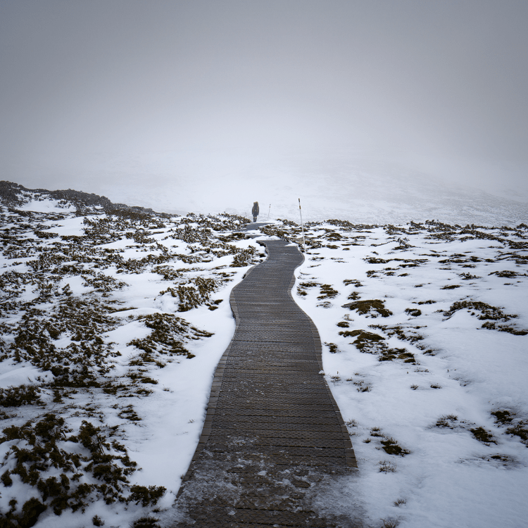 Snowy track near Kitchen Hut