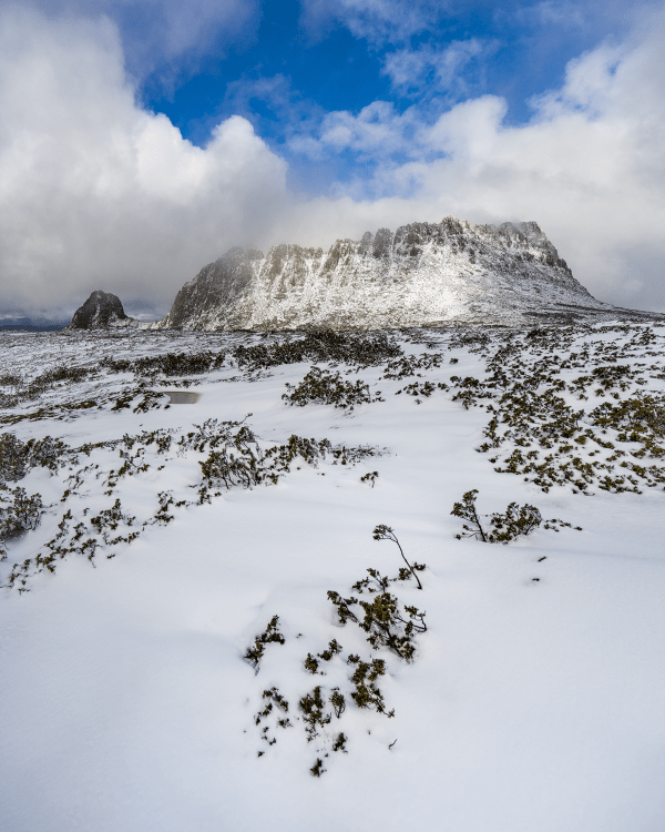 Fresh snowfall past Marions Lookout