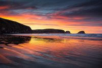 Catlins Fire