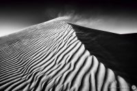 Dunescape