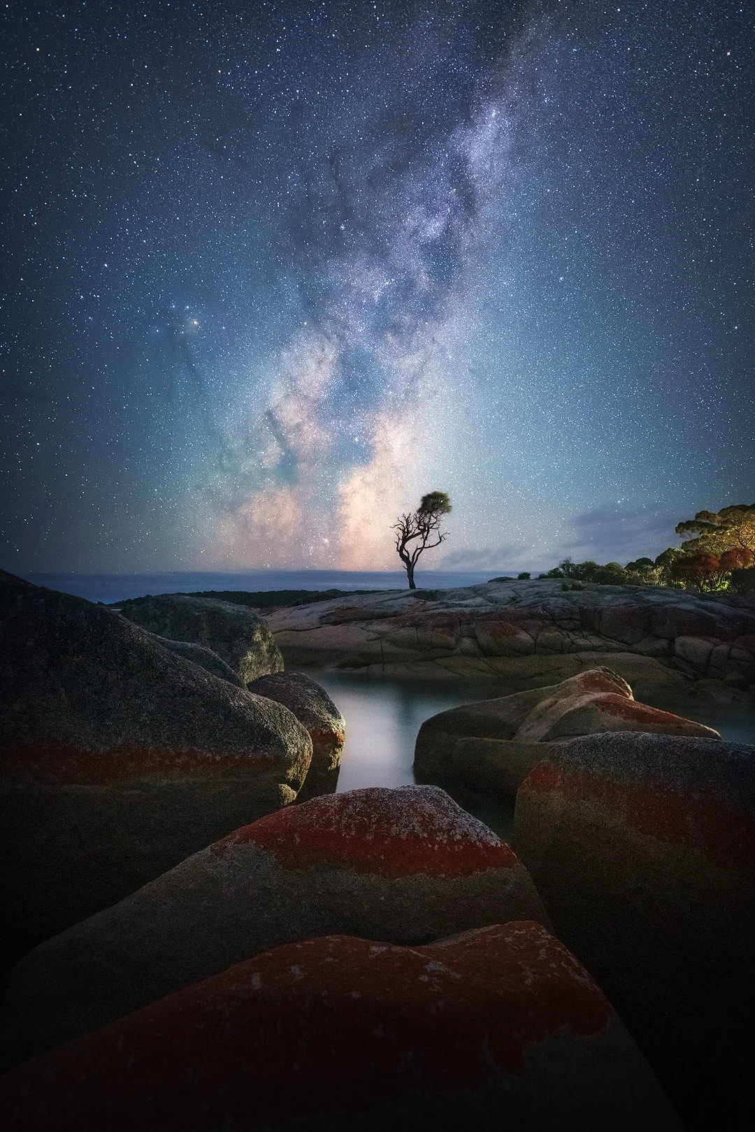 The Binalong Tree