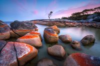 Binalong Bliss