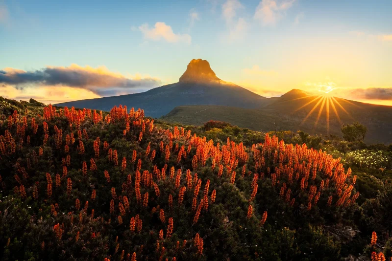 Beauty of Tasmania in Summer
