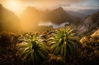 Weather Planning for Photography