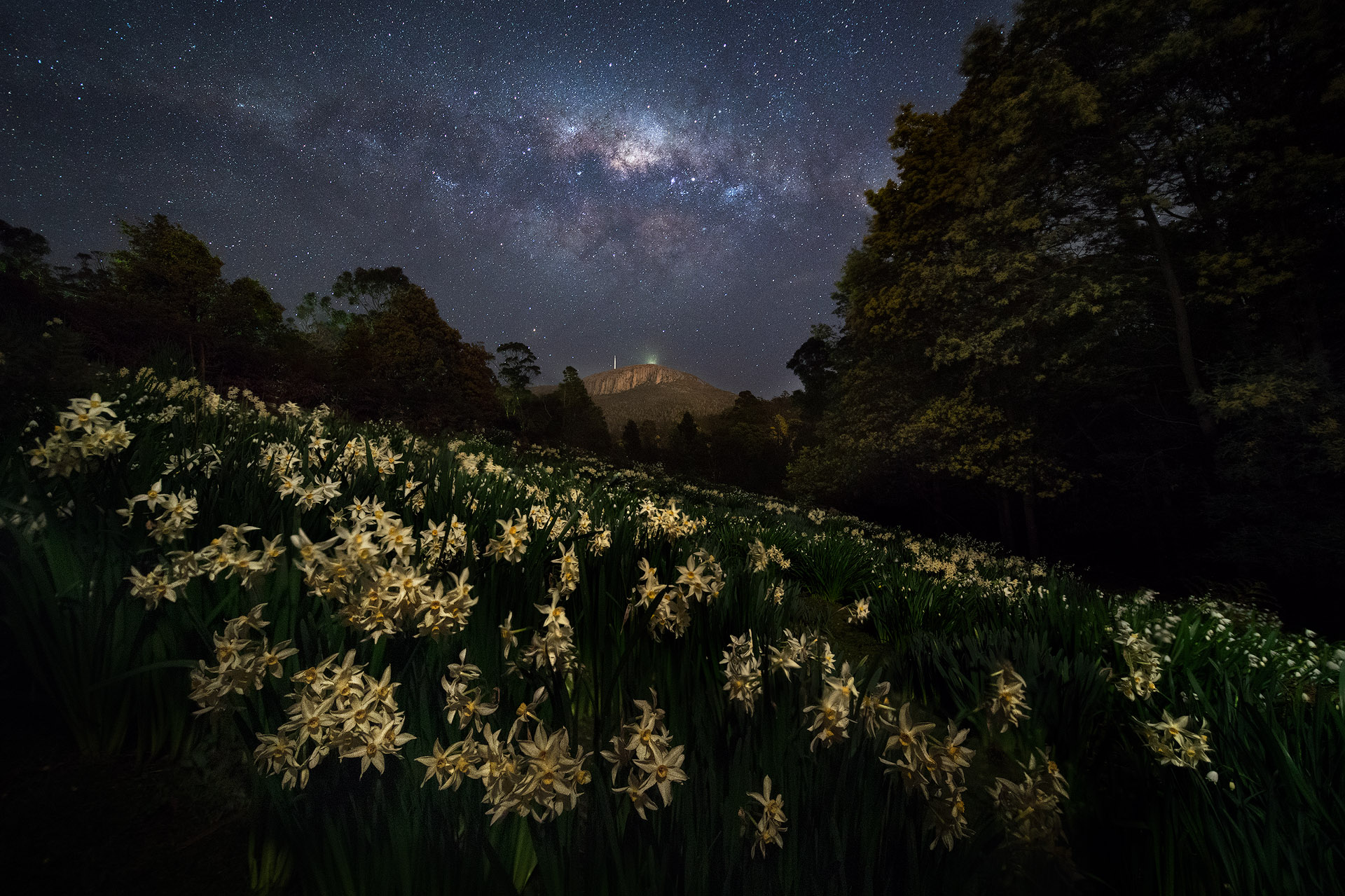 Spring Equinox 2026